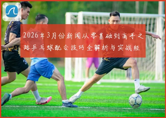 2026年3月份新闻从零基础到高手之路乒乓球配合技巧全解析与实战经验分享